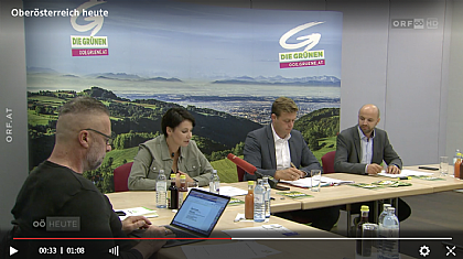 Screen Die Grünen - Panoramabild dahinter von Manfred Scheucher