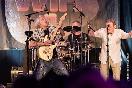 WIR 4 & Wolfgang Ambros