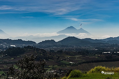p014916160116a045_sm.jpg
