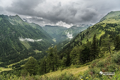 p014951160728s5_sm.jpg