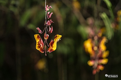 p014954170216s7_sm.jpg